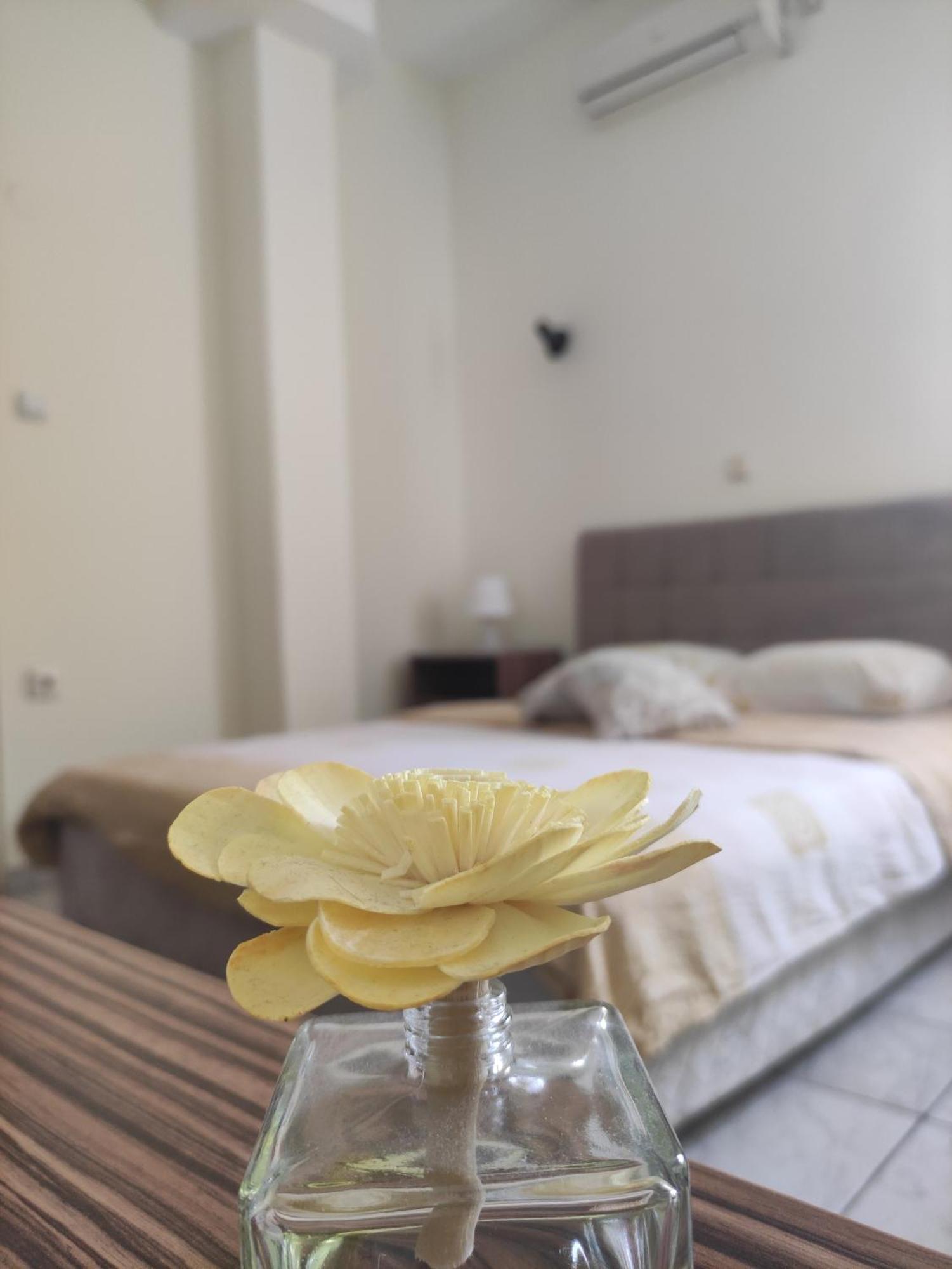 B&B Bebinac Leskovac  Bagian luar foto