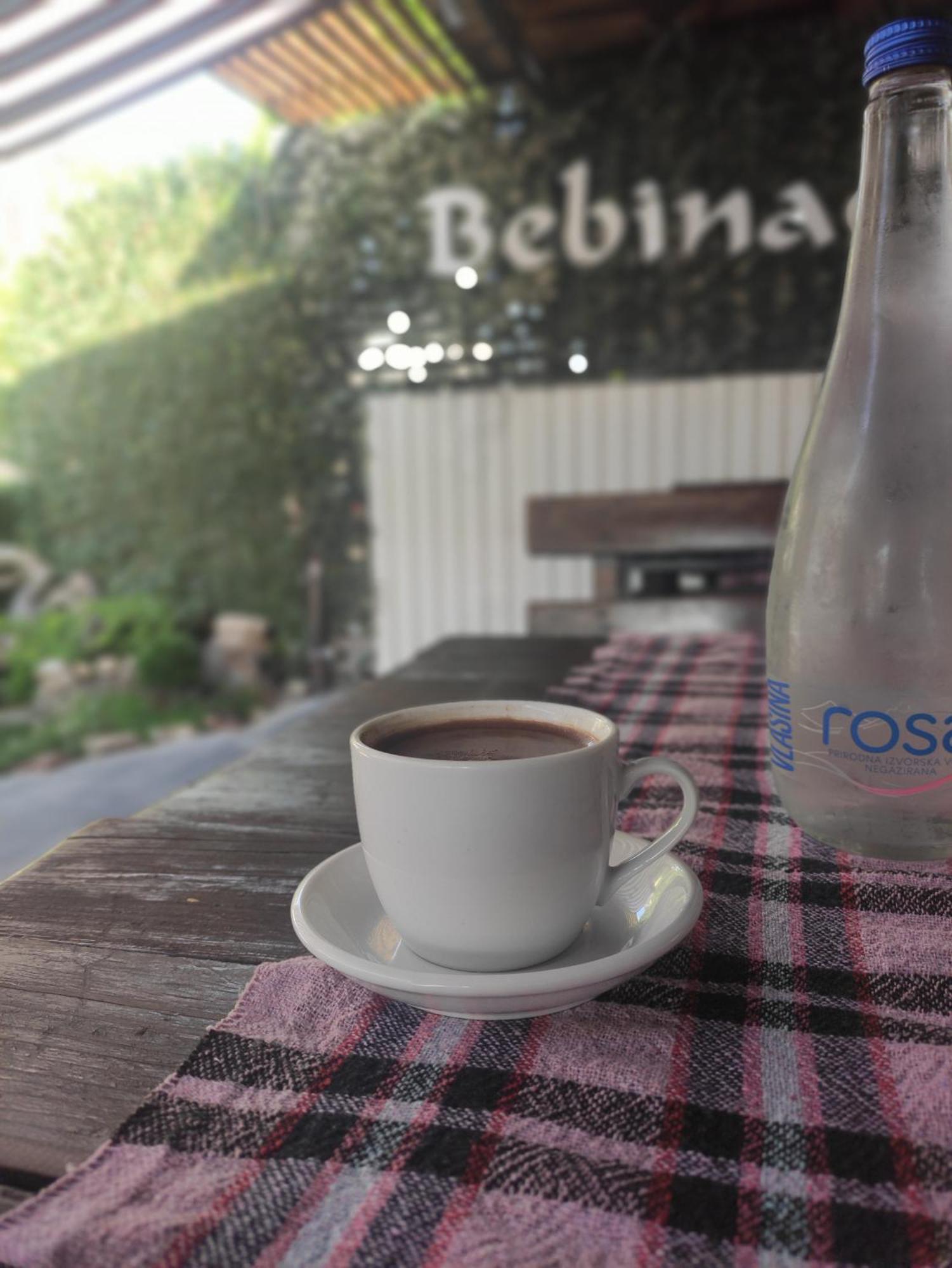 B&B Bebinac Leskovac  Bagian luar foto